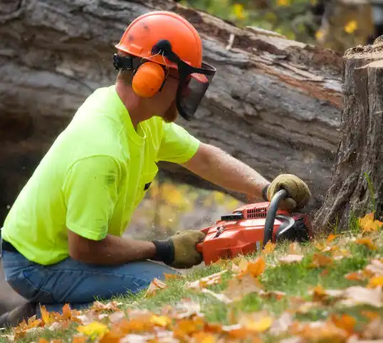 tree services Chisholm